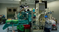 Američtí lékaři transplantovali umírajícímu pacientovi prasečí srdce