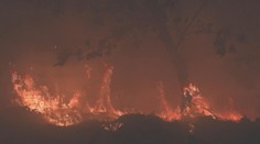 Španělsko sužují obrovské požáry. Evropa je solidární, pomáhají i Češi, sděluje konzulka