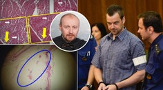 Znalec: Materiály proti Kramnému byly podvržené! Mám důkazy