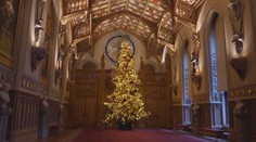Hrad Windsor už svítí. Vánoční strom tam zdobí přes 33 tisíc světýlek