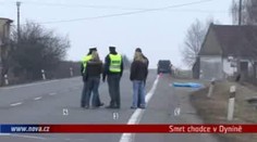Smrt chodce na jihu Čech