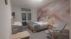 Novinky v kladenské porodnici: Rodinné pokoje i královská snídaně
