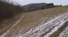 Z nedělní procházky se stal horor. Na rodinu zaútočil muž se sekerou