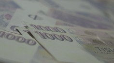 Daňová Kobra chrání stát před daňovými úniky. Projekt spojuje policii, celníky a úřady