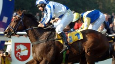 Vítěz Velké pardubické je po smrti! Bylo mu 23 let