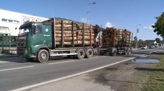 Kůrovcová kalamita ničí silnice! Opravy vyjdou na stovky milionů