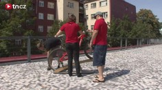 Kulhavý prozradil tajemství kola, na kterém si dojel pro olympijské zlato
