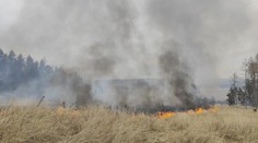 V Česku řádily hned dva lesní požáry. Situaci zhoršil vítr