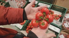 Kontrola potravin v Turnově: Obchody ve městě by mohly jít příkladem