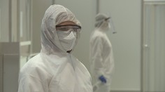 Asijský virus může přinést lidstvu pohromu. Šíří se mezi netopýry