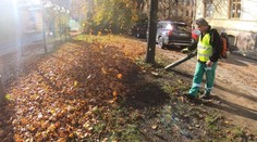 Listí zastavuje vlaky, za jeho velké množství může vlhko