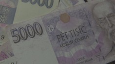 Důchodci dostanou 5000 korun. Senát schválil i zákaz klecových chovů