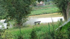 Zděšení u Neratovic. Žlutá barva Labe vystrašila místní