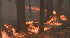 Vědci chtějí začít vypalovat chráněné lokality. Chtějí tak prospět fauně a flóře
