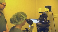 V Británii se narodily první děti s DNA od tří lidí. Lékaři zjistili přelomovou věc
