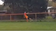 Fotbalista při zápase zabil nebohé zvíře. Stačil mu jediný kop