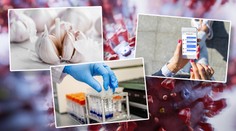 Česnek, 5G sítě a umělý původ! Mýty a dezinformace o koronaviru
