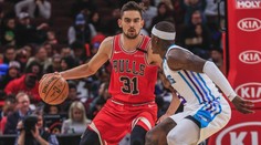Satyho Chicago prohrálo s Charlotte. Young padesáti body zaskočil Miami