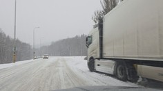 Česká doprava si vede lépe za zimních podmínek než v zahraničí, řekl mluvčí