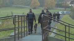 Řidič auta se ukryl v kukuřičném poli. Policejní pes ho ale našel