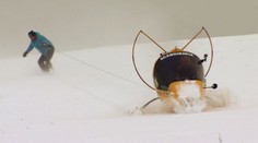 VÍKEND: Doma vyrobené motorové sáně