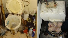Děs! Tady nám připravují jídlo. PŘEHLED hospod uzavřených kvůli hygieně