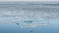 Vědci sledují záhadnou chladnou skvrnu v Atlantském oceánu. Může mít strašlivý dopad