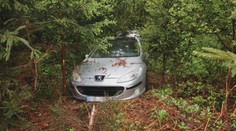 Policie musela na ujíždějícího řidiče vytáhnout zbraně. Je obviněný ze 17 trestných činů
