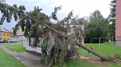 V Česku řádí silný vítr. Meteorologové vydali výstrahu pro tři kraje
