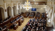 Nové poslance čeká zajímavý plat a spousta výhod. Na co mají nárok?