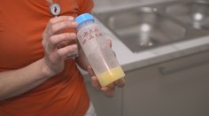 Jihlavská nemocnice otvírá sběrnu mateřského mléka. Maminky mohou darovat přebytečné