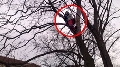 Vylezl na větev a křičí: "Nekácejte zdravé stromy!“