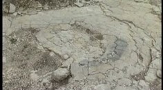 OBJEV: obří stopy dinosaurů. Až třicetimetroví "drobečci"