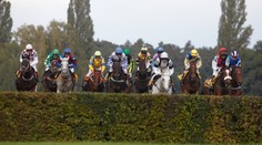 ON-LINE: Velkou Pardubickou vyhrála ORPHEE DES BLINS, Váňa dojel až třetí