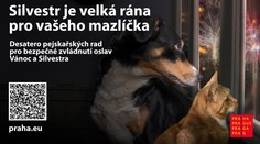 Na Silvestra platí omezené používání pyrotechniky