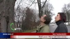 VIDEO: Řidiči pozor: Mokrý sníh láme stromy