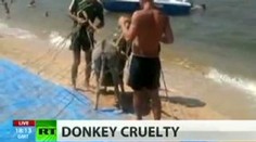 VIDEO: Osel létal v Rusku na paraglidu, policie to neřeší