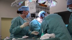 IKEM zahájil kampaň pro cizince. Chce jim přiblížit možnost dárcovství orgánů