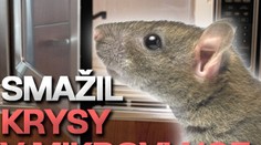 Smažil krysy v mikrovlnce
