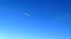 NATO zachytilo ruské stíhačky u Lotyšska. Vzlétly maďarské gripeny