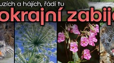 Pozor v luzích a hájích, řádí tu cizokrajní zabijáci