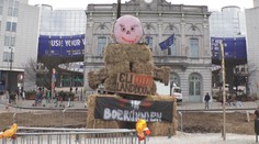 Zemědělci jsou nespokojení napříč Evropou. V Bruselu demonstrovali