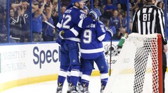 Šustr s Palátem bodovali proti Minnesotě, Frolík proti Montrealu