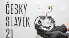 Český slavík zveřejnil průběžné výsledky. Do konce hlasování zbývá měsíc