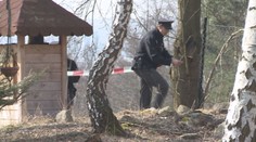 Tragická smrt: Muž kácel stromy, poslední mu zabil manželku!