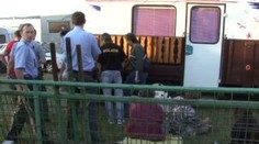 Sebevražda nebo vražda? Ani pitva nerozhodla