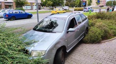 Teprve 15letou dívku srazilo v Plzni auto. Skončila se zraněnou hlavou!