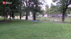 Muž se střelil do hlavy kousek od policistů. Dívali se další lidé