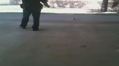 ŠOKUJÍCÍ VIDEO: Zlý policista TÝRÁ před zraky dětí VEVERKU!