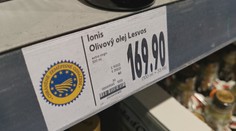 Cena olivového oleje je nejvyšší za posledních 26 let. Nejspíš ještě poroste